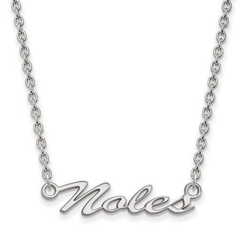 Sterling Silver LogoArt Florida State University Medium Pendant w/Necklace